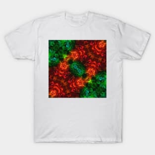 Lava Garden T-Shirt